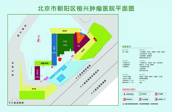 男人鸡巴日女人肉逼北京市朝阳区桓兴肿瘤医院平面图